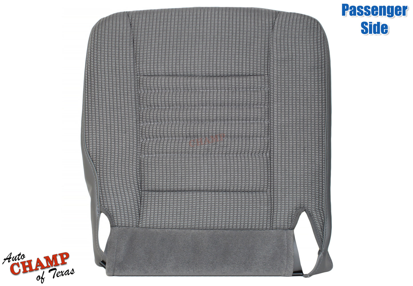 0608RamWTDriBotGray-1
