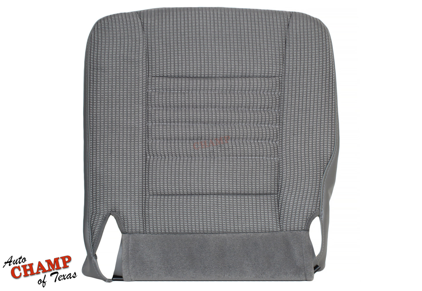0608RamWTDriBotGray-1