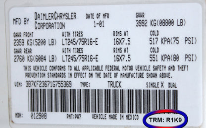 dodge ram 1500 trim code r1k9 tan camel interior
